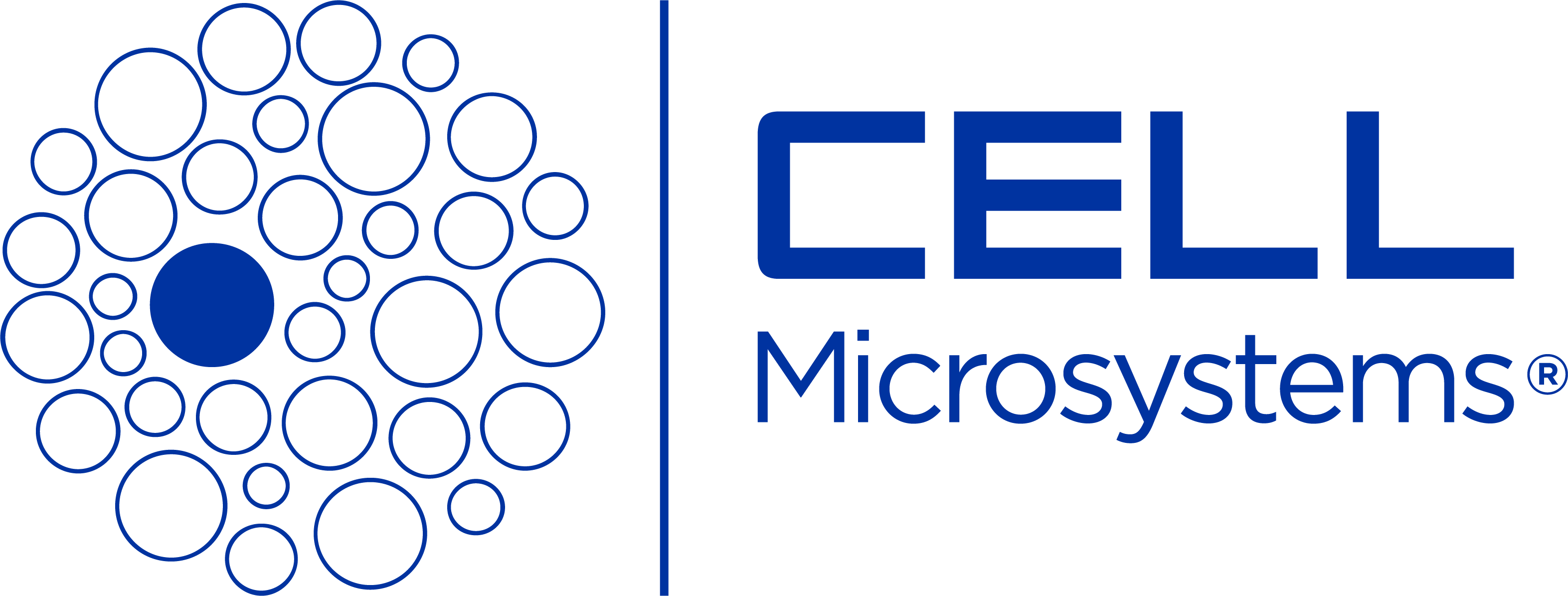 logo with blue letters